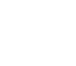 Sbs logo negative